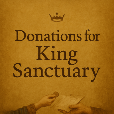 Sanctuary Donations-Blessings in Overflow